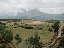 alpe di siusi